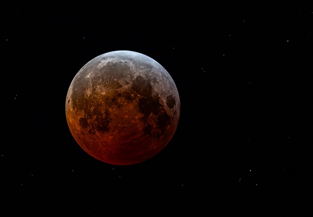 《星期三》第二季发布宣传照 哥特宗族全家福